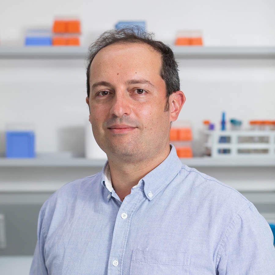 Andrea Faenza - Cellply Chief Technology Officer